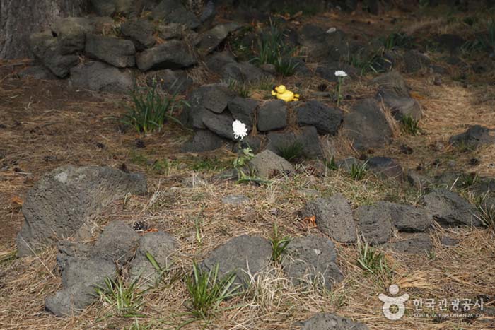 Могила маленьких детей, оставленная в виде кучи - Чеджу, Чеджу, Корея (https://codecorea.github.io)