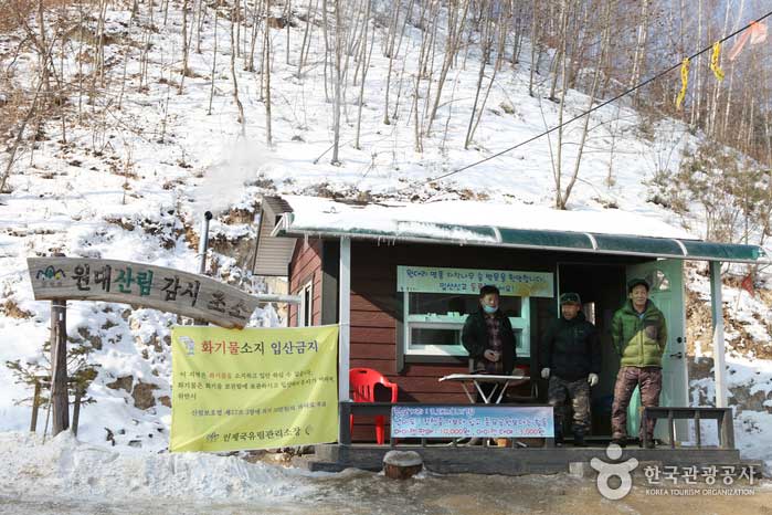 Wondae Forest Monitoring Post - Inje-gun, Gangwon-do, Korea (https://codecorea.github.io)