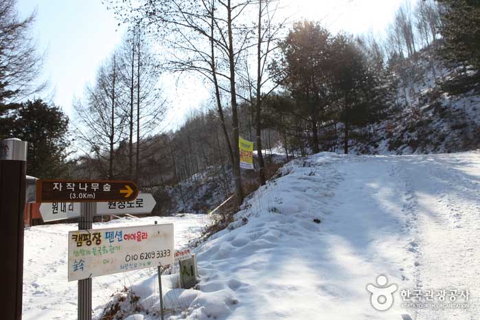 Marcher à environ 3,5 km du poste de surveillance de la forêt de Wondae - Inje-gun, Gangwon-do, Corée (https://codecorea.github.io)