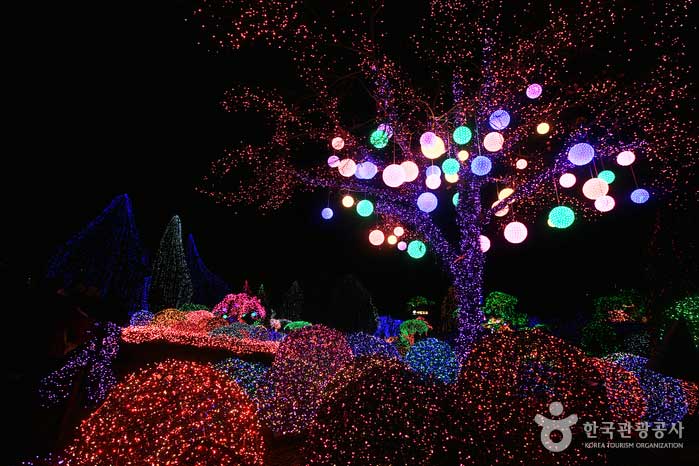 Hakyung Garden hat auch Bäume, die wie Weihnachtsbäume geschmückt sind. - Gapyeong-gun, Südkorea (https://codecorea.github.io)