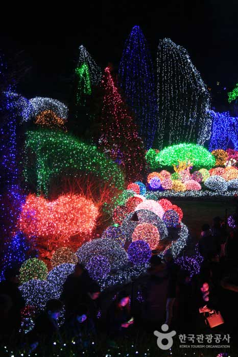 Jardin Hakyung entouré par la lumière enchanteresse - Gapyeong-gun, Corée du Sud (https://codecorea.github.io)