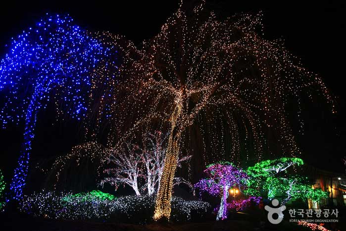 Nachtansicht des Neungsu-Gartens, als würde man ein Feuerwerk beobachten - Gapyeong-gun, Südkorea (https://codecorea.github.io)