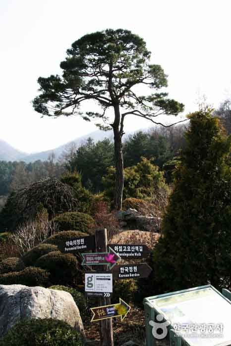 Arboretum calme du matin pour une belle promenade d'automne - Chuncheon, Gangwon, Corée (https://codecorea.github.io)