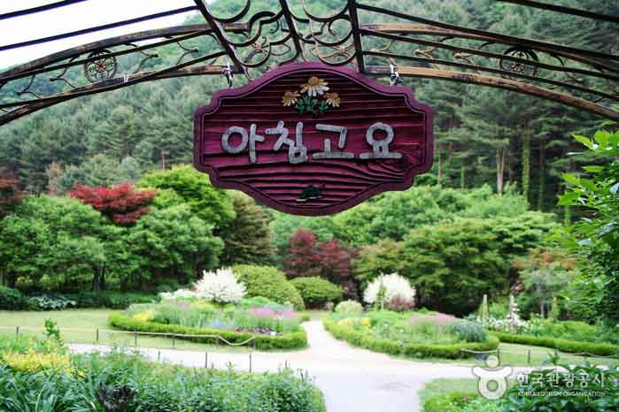 Morgen ruhiges Arboretum für einen schönen Herbstspaziergang - Chuncheon, Gangwon, Korea (https://codecorea.github.io)