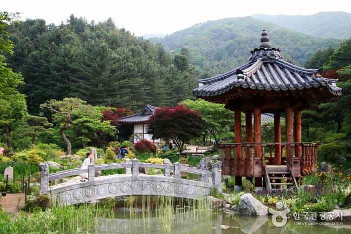 Jardín coreano que combina bien con el paisaje otoñal - Chuncheon, Gangwon, Corea (https://codecorea.github.io)