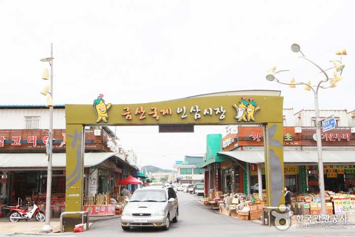 Geumsan International Ginseng Market - Geumsan-Kanone, Chungnam, Südkorea (https://codecorea.github.io)