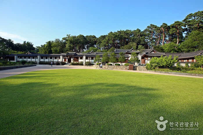 La pelouse du champ de mission - Gangneung-si, Gangwon-do, Corée (https://codecorea.github.io)