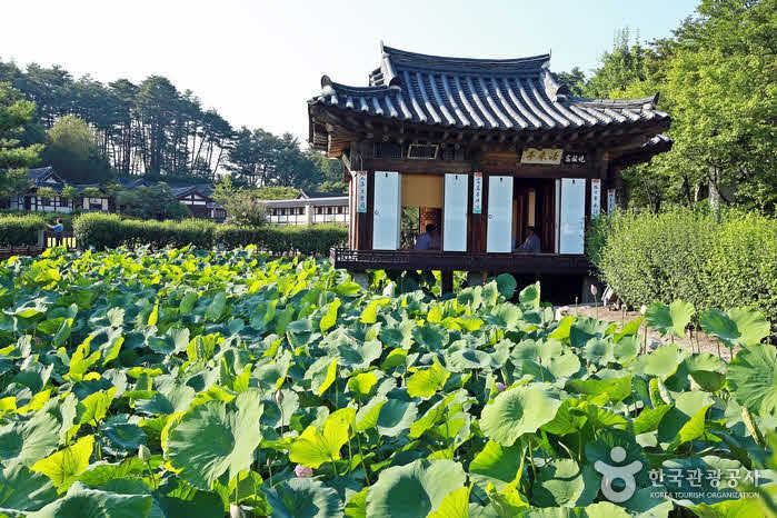 Hwaraejeong où vous avez apprécié le lotus et le vent - Gangneung-si, Gangwon-do, Corée (https://codecorea.github.io)