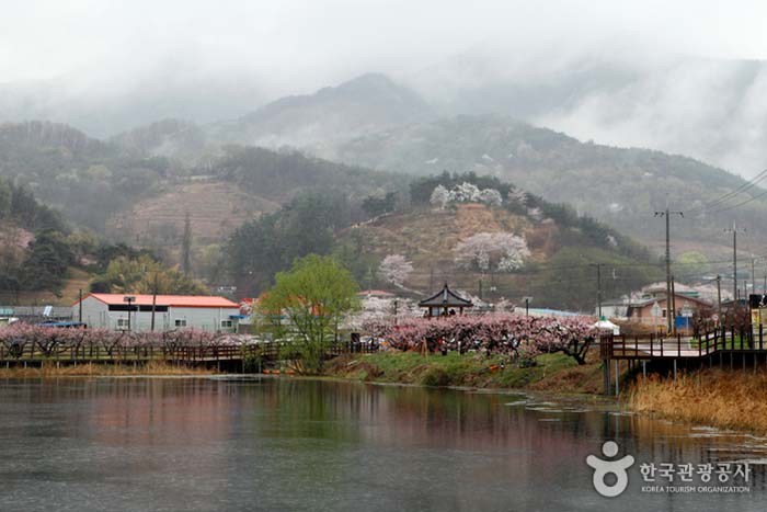 Bangok-ji et Bangok-ri où le brouillard des montagnes nous rappelle Mureungdowon - Gyeongsan, Gyeongbuk, Corée du Sud (https://codecorea.github.io)