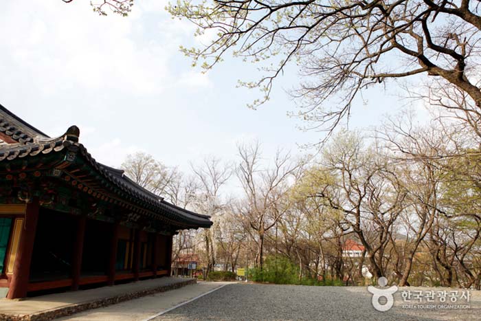 Bâtiment principal du bureau préfectoral de Zain situé dans la forêt de Jain Account - Gyeongsan, Gyeongbuk, Corée du Sud (https://codecorea.github.io)