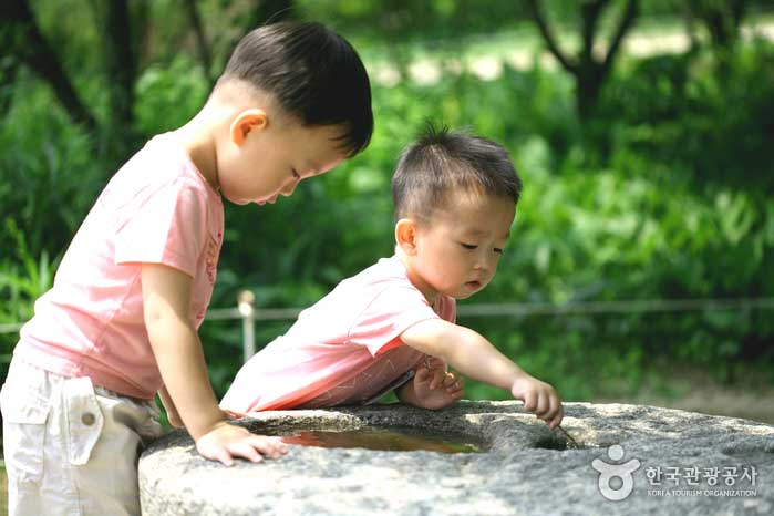 Kinder spielen im Garten - Yongin-si, Gyeonggi-do, Korea (https://codecorea.github.io)