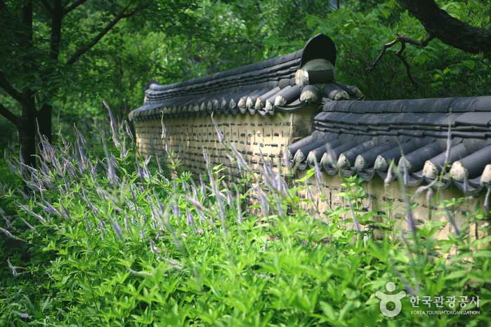 Garten kombiniert mit Steinmauer - Yongin-si, Gyeonggi-do, Korea (https://codecorea.github.io)
