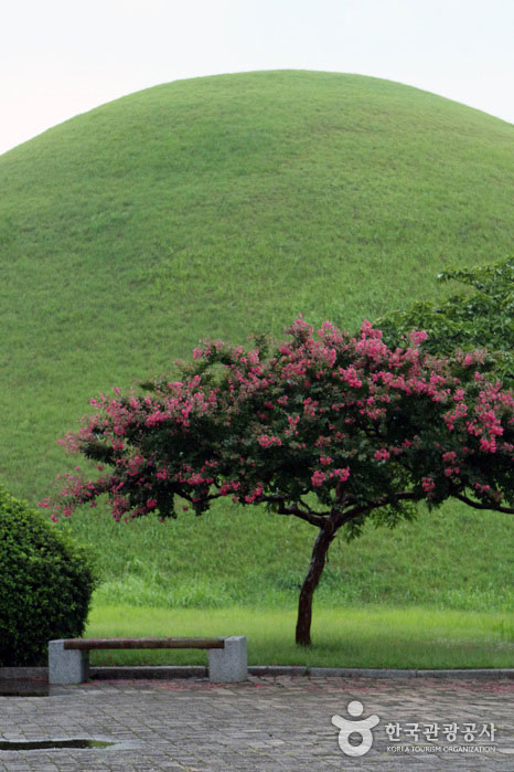 Rotes Purpurrot harmoniert mit grünen Hügeln - Gyeongju, Gyeongbuk, Korea (https://codecorea.github.io)