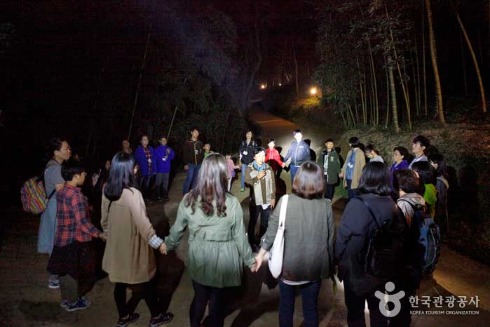 Machen Sie eine leichte Pause, während Sie auf dunklen Nachtstraßen gehen - Damyang-Pistole, Jeollanam-do, Korea (https://codecorea.github.io)