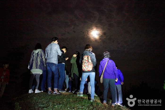 Teilnehmer klettern auf den Erwachsenengipfel und beobachten den Vollmond - Damyang-Pistole, Jeollanam-do, Korea (https://codecorea.github.io)