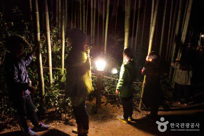 Ein Spaziergang durch den Bambuswald von Juknokwon macht es mir bequem - Damyang-Pistole, Jeollanam-do, Korea (https://codecorea.github.io)