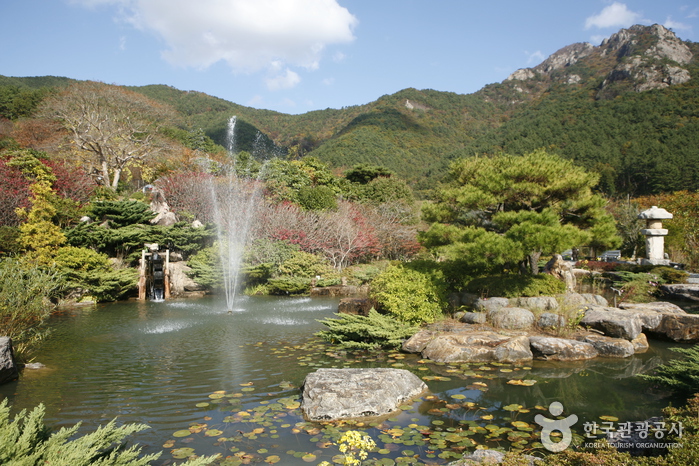 «Тайный сад», цветущие полевые цветы четырех сезонов, Geoje Sanbangsan Biwon - Geoje-si, Кённам, Корея