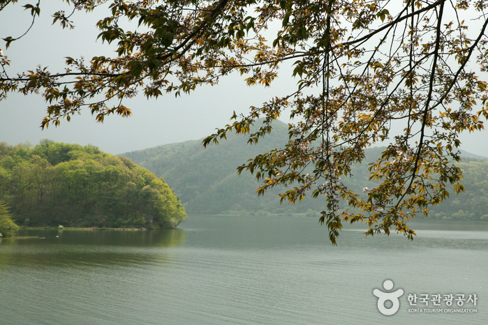Paysages du lac Paldang en mai - Namyangju-si, Gyeonggi-do, Corée (https://codecorea.github.io)