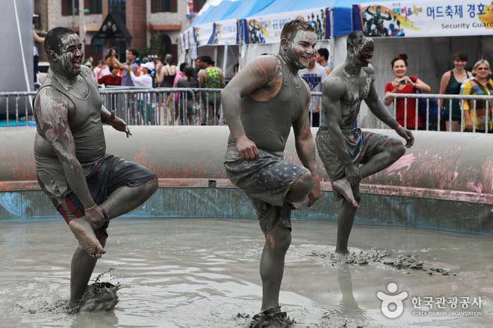 Hahnenkampf bei Mud Experience - Boryeong, Südkorea (https://codecorea.github.io)