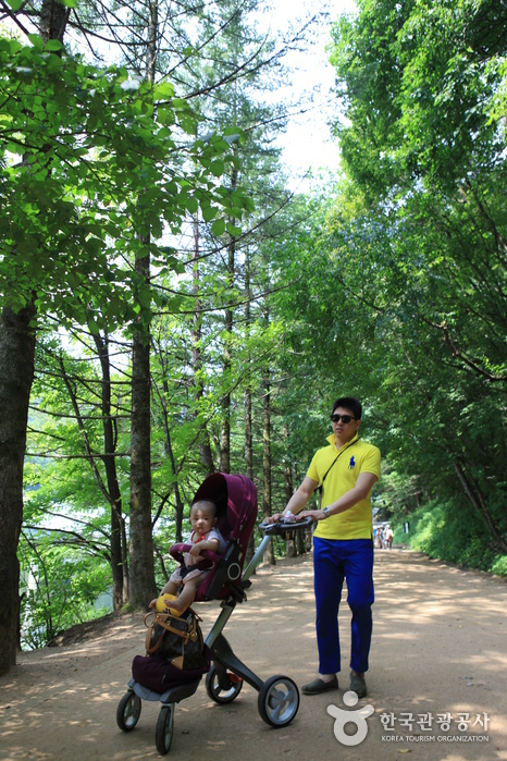 Способ гулять без перетаскивания коляски - Пхенчхан-гун, Канвондо, Корея (https://codecorea.github.io)