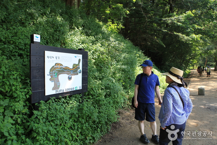 Panneau d'information qui vous indique la section de la forêt de sapins - Pyeongchang-gun, Gangwon-do, Corée (https://codecorea.github.io)