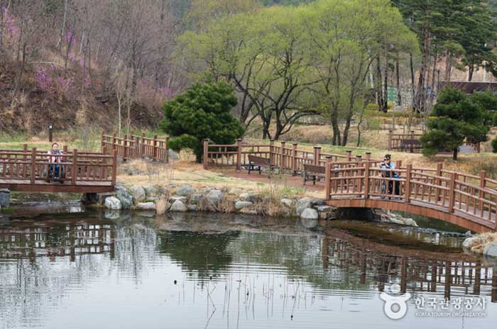 Parque de experiencia ecológica forestal en complejo eólico - Yeongdeok-gun, Gyeongbuk, Corea (https://codecorea.github.io)