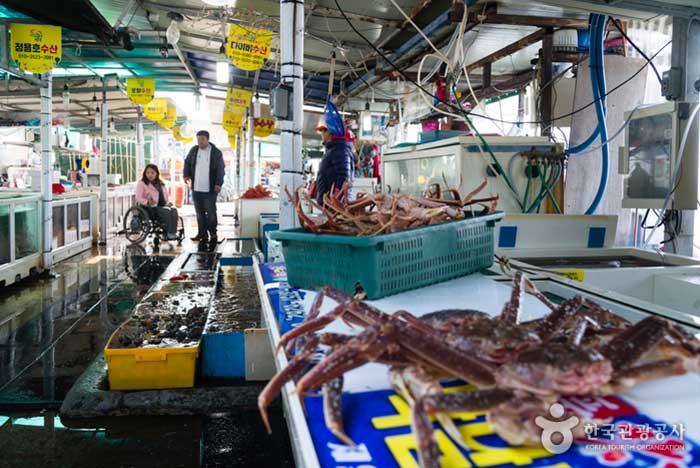 Der Fischmarkt von Dongguang befindet sich am Fuße des Hafens von Ganggu - Yeongdeok-gun, Gyeongbuk, Korea (https://codecorea.github.io)