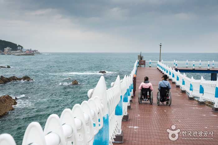 Le fauteuil roulant peut traverser le milieu de la mer - Yeongdeok-gun, Gyeongbuk, Corée (https://codecorea.github.io)