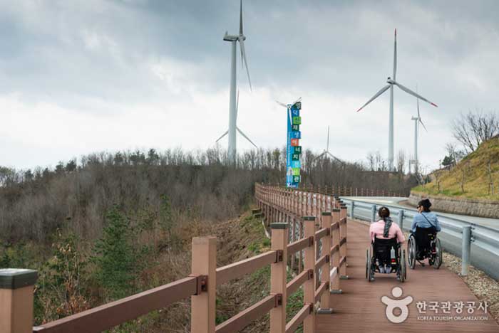 Deckstraße, auf der Sie im Rollstuhl um den Windpark fahren können - Yeongdeok-gun, Gyeongbuk, Korea (https://codecorea.github.io)