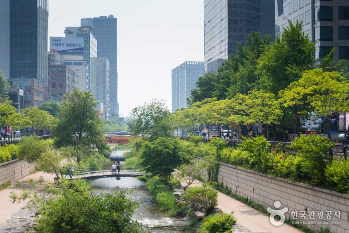 Cheonggyecheon stream in the city center - Korea, Seoul (https://codecorea.github.io)