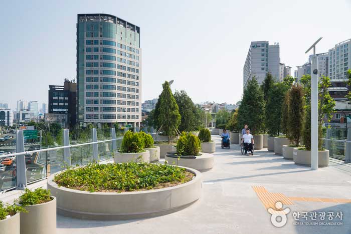 Seoul-ro 7017 Arboretum Park (overpass) - Korea, Seoul (https://codecorea.github.io)