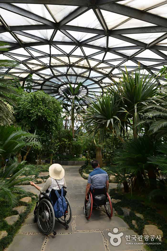 Тропический ботанический сад Стеклянная теплица - Чинджу, Кённам, Южная Корея (https://codecorea.github.io)