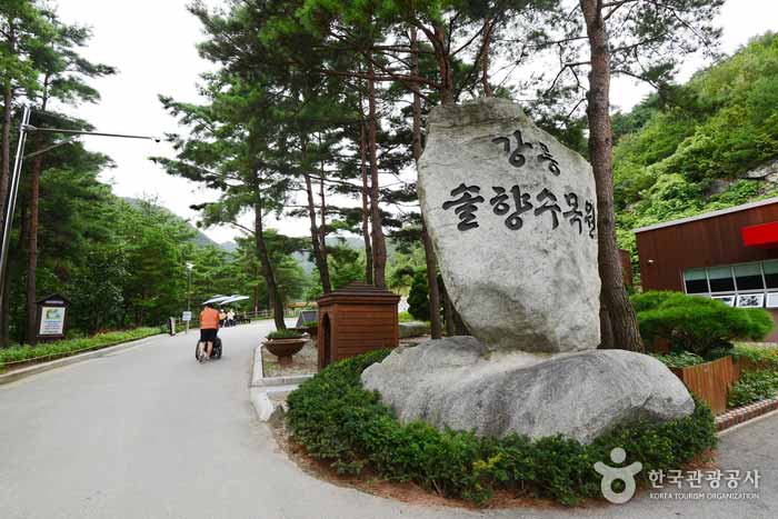 Entrée de l'arboretum de Gangneung Solhyang - Pyeongchang-gun, Gangwon-do, Corée (https://codecorea.github.io)