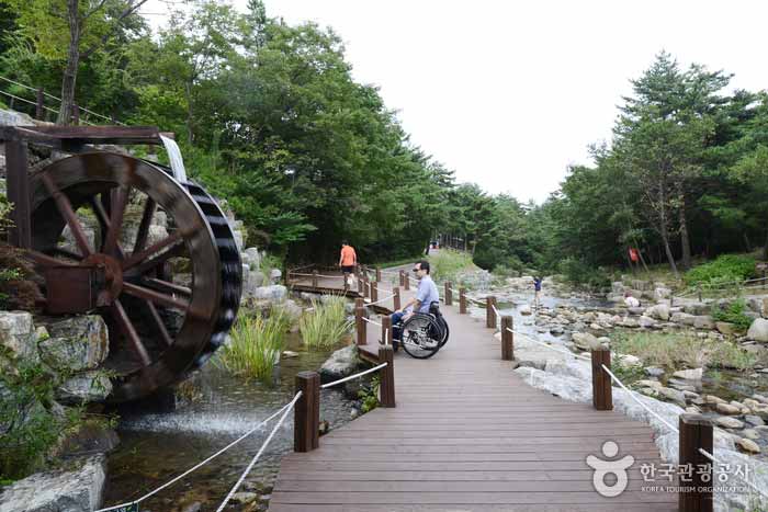 Wassermühle neben dem Tal - Pyeongchang-Pistole, Gangwon-do, Korea (https://codecorea.github.io)