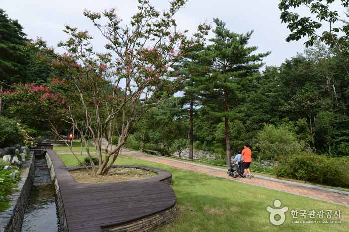 Barong Tree Shelter - Пхенчхан-гун, Канвондо, Корея (https://codecorea.github.io)