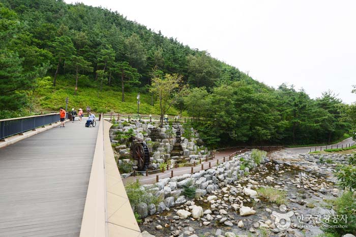 Pont à Sol Forest Grass Plaza - Pyeongchang-gun, Gangwon-do, Corée (https://codecorea.github.io)