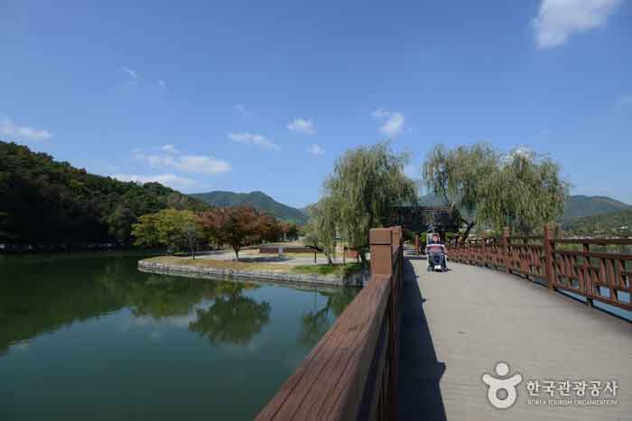 Regenbogenbrücke zur Millennium Pine Road - Chungbuk, Südkorea (https://codecorea.github.io)