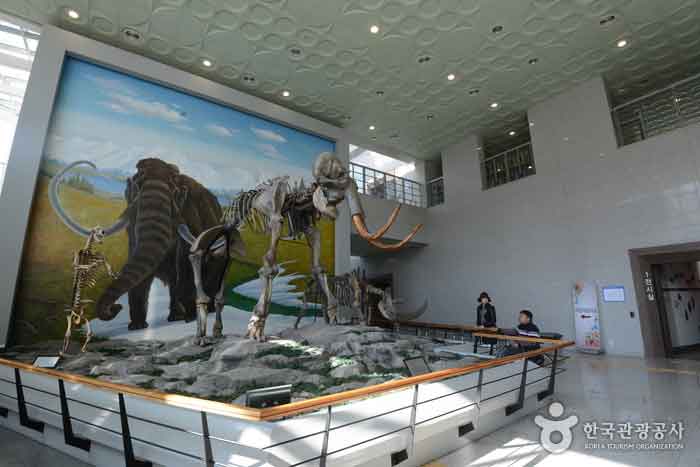 Lobby Mammut und Rhino Fossil - Chungbuk, Südkorea (https://codecorea.github.io)