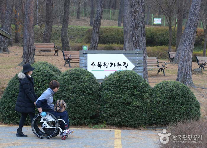 Arboretum - Taean-gun, Chungcheongnam-do, Corée (https://codecorea.github.io)