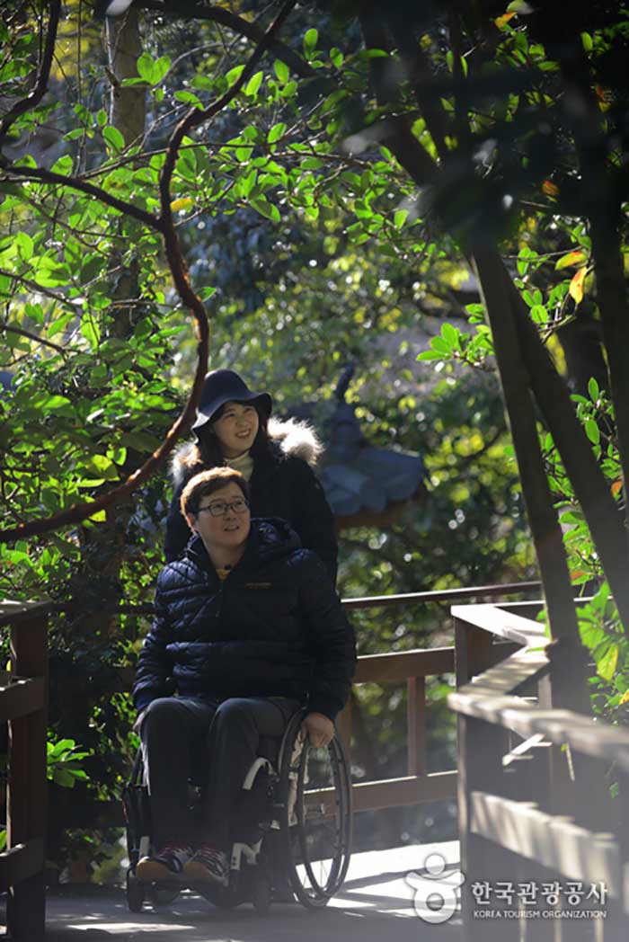 «Route sans escaliers» dans l'arboretum de Cheonnipo - Taean-gun, Chungcheongnam-do, Corée (https://codecorea.github.io)