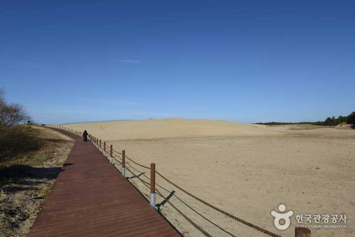 Sinduri Sand Dunes y Course A Trail - Taean-gun, Chungcheongnam-do, Corea (https://codecorea.github.io)