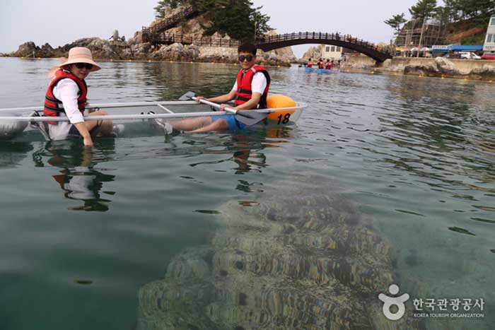 2-seater transparent canoe experience - Samcheok-si, Gangwon-do, Korea (https://codecorea.github.io)