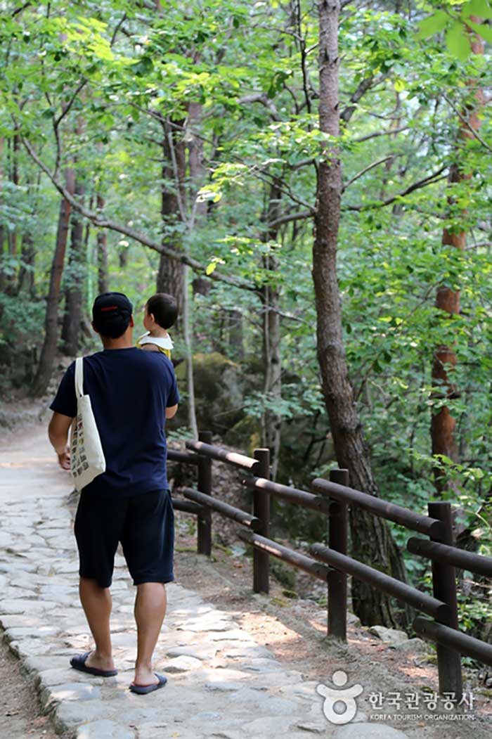 Camino forestal del valle de Mureung - Samcheok-si, Gangwon-do, Corea (https://codecorea.github.io)