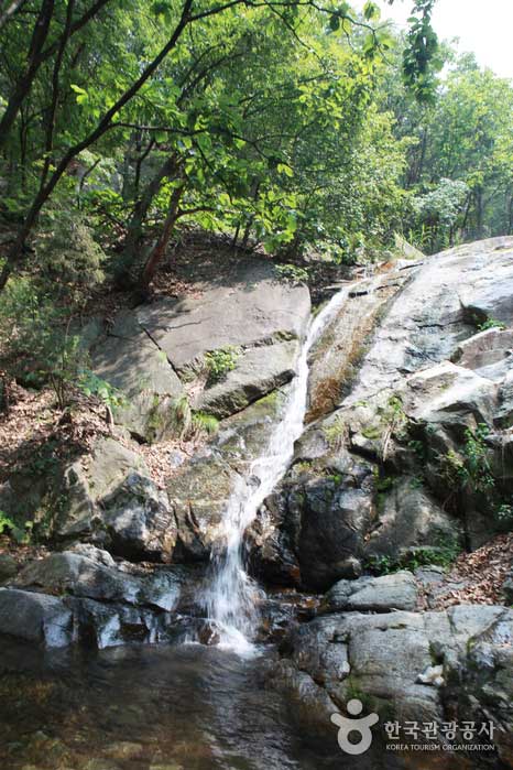 Природный водопад в лесу Исцеляющий лес Гранд Парк Сеула - Республика Корея (https://codecorea.github.io)