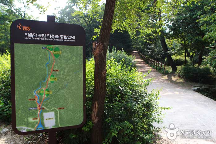 Waldheilungswald beginnt dort, wo der vollständige Heilungsspaziergang beginnt - Republik Korea (https://codecorea.github.io)