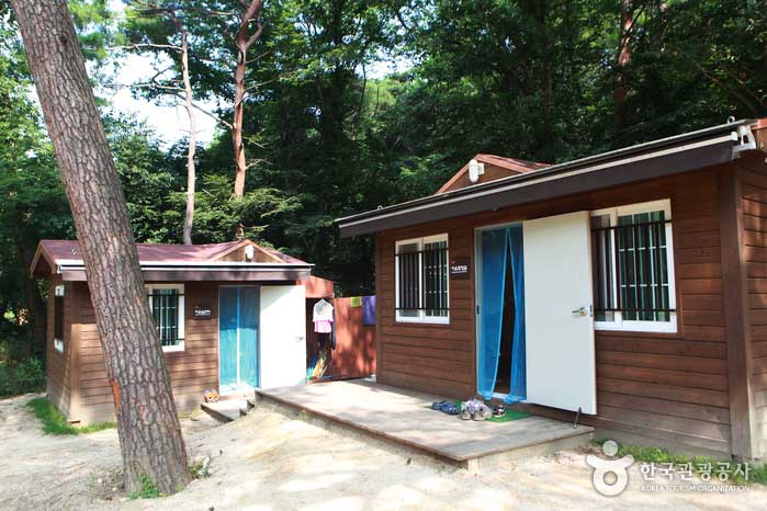 Centre d'accueil au début de la forêt de guérison de la forêt du Grand Parc de Séoul - République de Corée (https://codecorea.github.io)