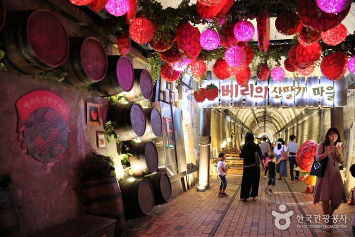 Внутри винной пещеры - Кимхэ, Кённам, Южная Корея (https://codecorea.github.io)