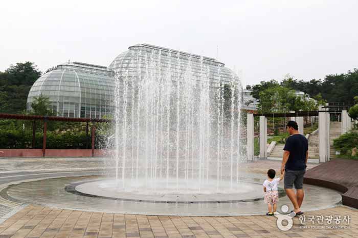 Fuente de la plaza central - Ciudad de Andong, Gyeongbuk, Corea (https://codecorea.github.io)