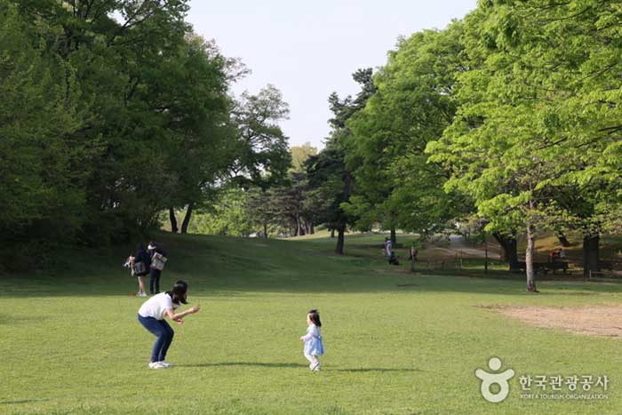 Олимпийский парк, где дети могут играть на зеленой лужайке в любое время - Сонгпа-гу, Сеул, Корея (https://codecorea.github.io)