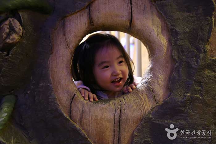 Ein glückliches Kind in einem Fantasiewald - Songpa-gu, Seoul, Korea (https://codecorea.github.io)